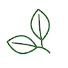 Phytotherapie